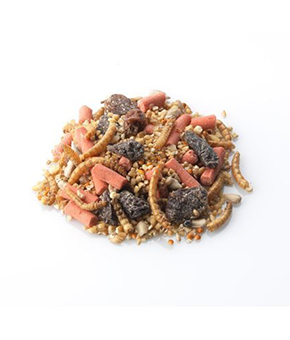 Brinvale Robin Songbird Mix Brinvale Robin Songbird Mix