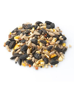 Brinvale All Seasons - Premium Wild Bird Food Brinvale All Seasons - Premium Wild Bird Food