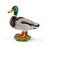 Schleich Drake
