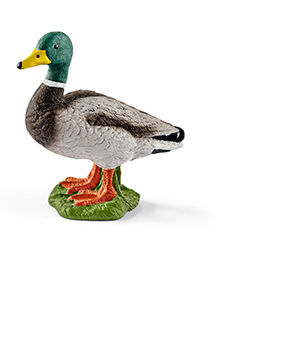 Schleich Drake Schleich Drake