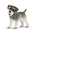 Schleich Miniature Schnauzer