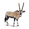 Schleich Oryx