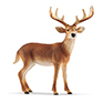 Schleich White-tailed Buck