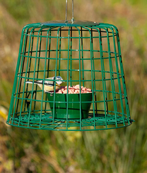 CJ Wildlife Suet Pellet & Mealworm Feeder Guardian CJ Wildlife Suet Pellet & Mealworm Feeder Guardian