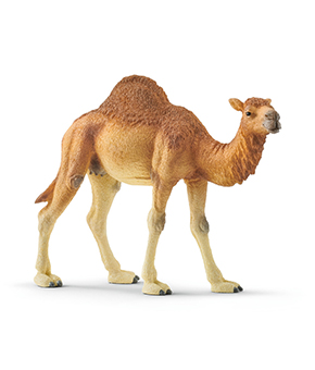 Schleich Dromedary Schleich Dromedary