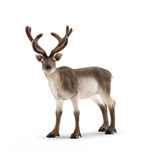 Schleich Reindeer Schleich Reindeer