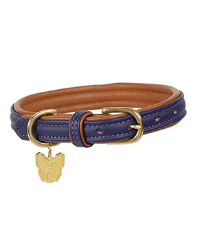 Padded Leather Dog Collar Padded Leather Dog Collar
