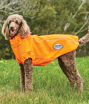 Weatherbeeta ComFiTec Active Dog Coat Orange Weatherbeeta ComFiTec Active Dog Coat Orange