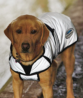 Weatherbeeta ComFiTec Reflective Dog Coat Silver Weatherbeeta ComFiTec Reflective Dog Coat Silver