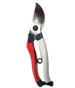 Silky Pruning Secateurs 104 Silky Pruning Secateurs 104