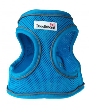 Doodlebone Airmesh Snappy Harness - Cyan Doodlebone Airmesh Snappy Harness - Cyan