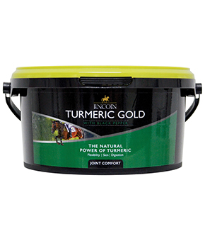 Lincoln Turmeric Gold Lincoln Turmeric Gold