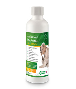 Aqueos Anti-bacterial Dog Shampoo Aqueos Anti-bacterial Dog Shampoo