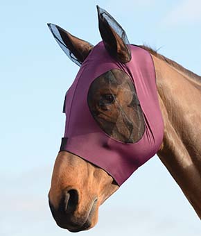 Weatherbeeta Stretch Bug Eye Saver Mask with Ears - Purple Weatherbeeta Stretch Bug Eye Saver Mask with Ears - Purple