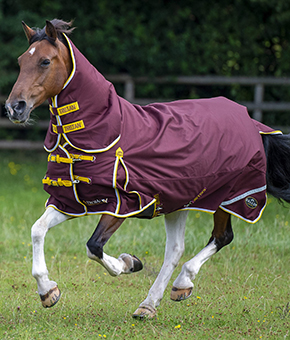 Gallop Trojan Xtra 200g Combo Turnout rug Gallop Trojan Xtra 200g Combo Turnout rug