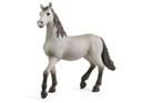 Schleich Pura Raza Espanola Foal