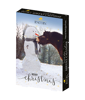 Lincoln Snowman Advent Calendar Lincoln Snowman Advent Calendar