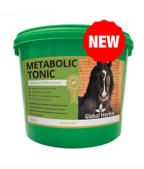 Global Herbs Metabolic Tonic Global Herbs Metabolic Tonic