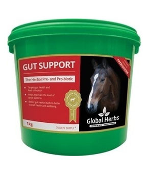 Global Herbs Gut Support Global Herbs Gut Support