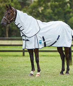 Weatherbeeta Kool Coat Classic III with Surcingles Combo Weatherbeeta Kool Coat Classic III with Surcingles Combo