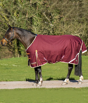 Gallop Trojan Xtra 100g Standard Neck Turnout Gallop Trojan Xtra 100g Standard Neck Turnout
