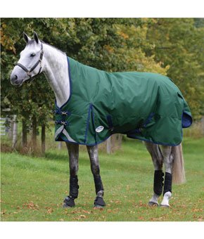Weatherbeeta Comfitec Plus Dynamic II High Neck Turnout Medium