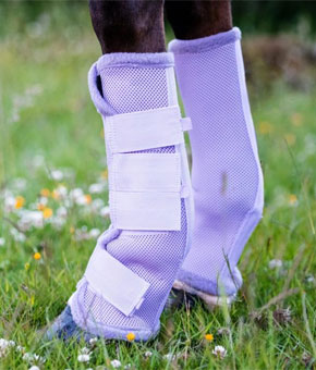Horseware Amigo Fly Boots (Lavender)