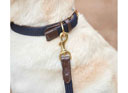 The Weatherbeeta Leather Plaited Dog Collar Navy/Brown