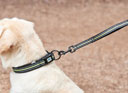 Weatherbeeta Reflective Dog Collar Black/Yellow
