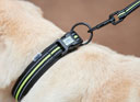 Weatherbeeta Reflective Dog Collar Black/Yellow