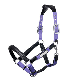 LeMieux Capella Luxury Leather Headcollar - Bluebell