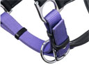 LeMieux Capella Luxury Leather Headcollar - Bluebell