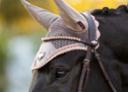 LeMieux Diamante Brown Leather Browband Rose