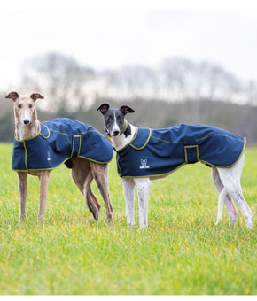 Digby & Fox Softshell Greyhound Coat - Navy Digby & Fox Softshell Greyhound Coat - Navy