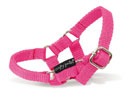 Crafty Ponies Headcollar Pink