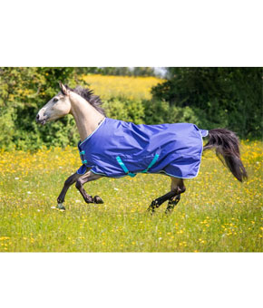 Shires Tempest Original Standard Neck Turnout 100g Navy Shires Tempest Original Standard Neck Turnout 100g Navy