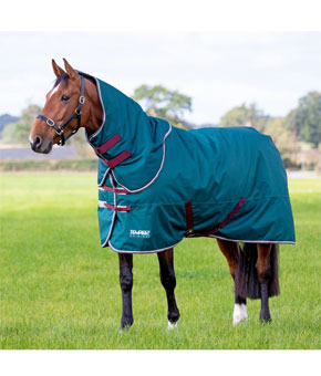 Shires Tempest Original 200g Rug & Neck Set Green Shires Tempest Original 200g Rug & Neck Set Green