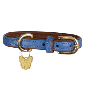Digby & Fox Padded Leatehr Dog Collar Royal Digby & Fox Padded Leatehr Dog Collar Royal