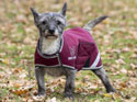 Digby & Fox Waterproof Dog Coat Burgundy
