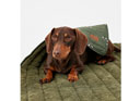 Joules Khaki Bee Print Pet Blanket