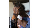 CDM Belvoir Step 1 Leather Cleaner Mitt
