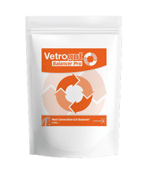 Animalife Vetrogut Balancer Pro Animalife Vetrogut Balancer Pro
