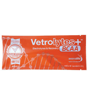 Animalife Vetrolytes Plus Sachet Animalife Vetrolytes Plus Sachet