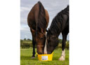 Dallas Keith Equine Flexi Garlic