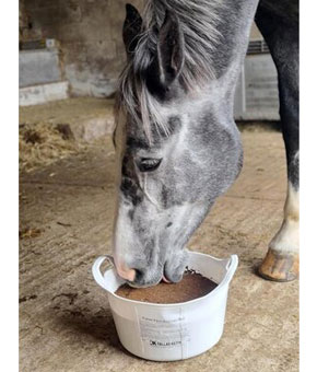 Dallas Keith Equine Flexi Hoof and Hide Dallas Keith Equine Flexi Hoof and Hide