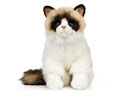 Living Nature Ragdoll Cat 25cm Plush Toy