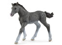 Schleich Trakehner Foal