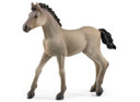 Schleich Criollo Definitivo Foal