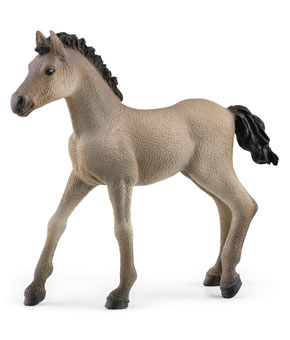 Schleich Criollo Definitivo Foal Schleich Criollo Definitivo Foal