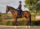 LeMieux Polo Bandages Fig AW22